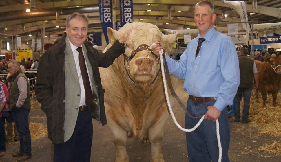 Rural Affairs Secretary Richard Lochhead with Royal Baladin a British Charolais bull and stockman.