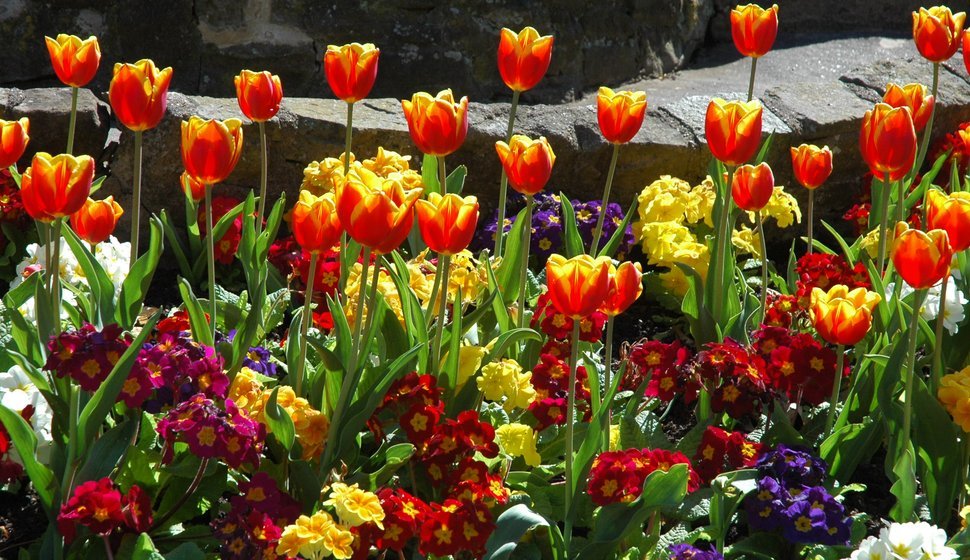 Spring Bank Holiday: A gateway from spring to summer.