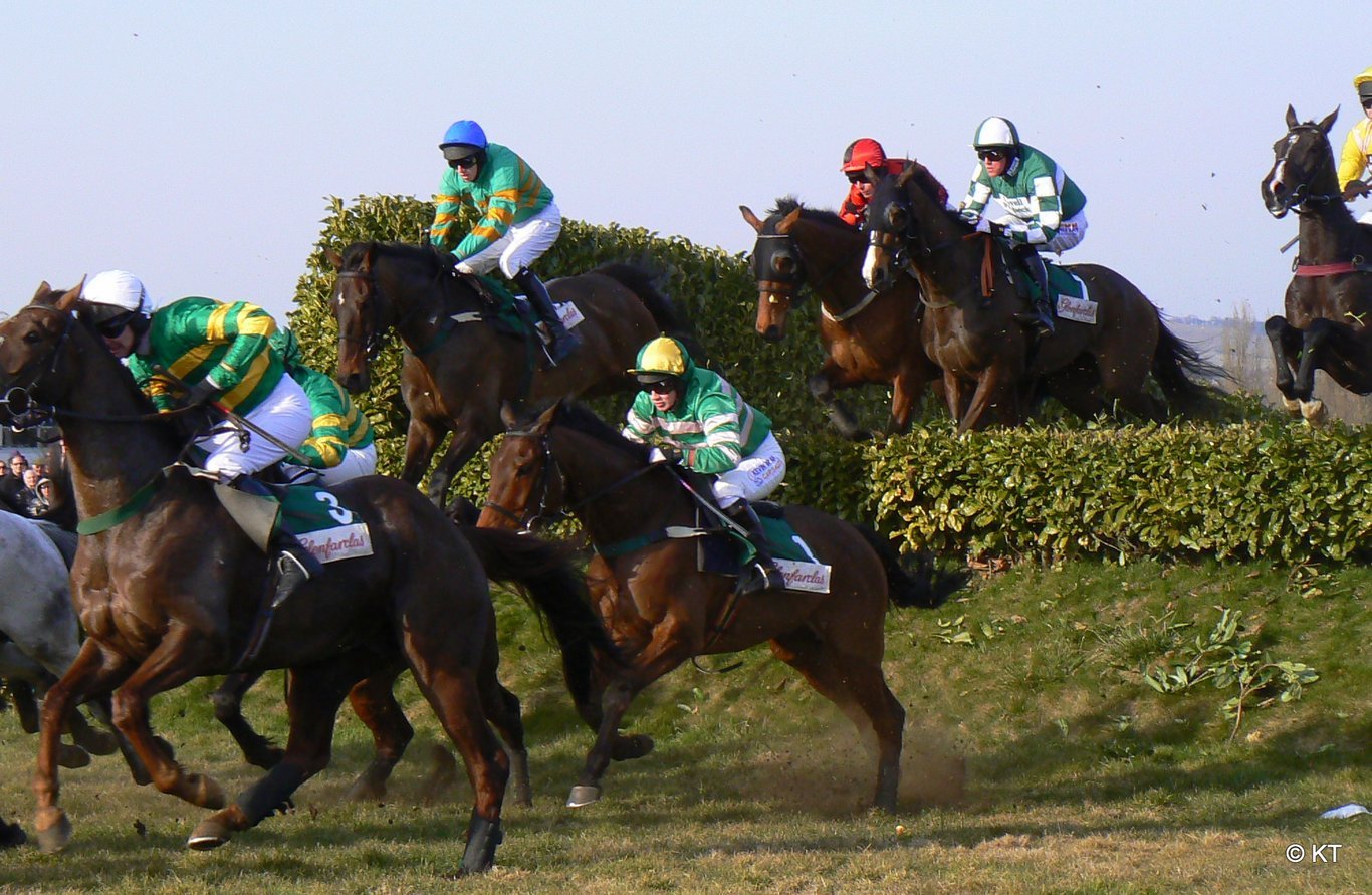 Cross Country Chase at The Cheltenham Festival in 2010.