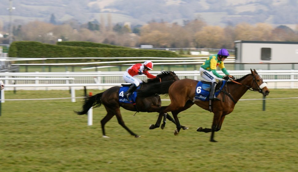 The Cheltenham Gold Cup in 2010