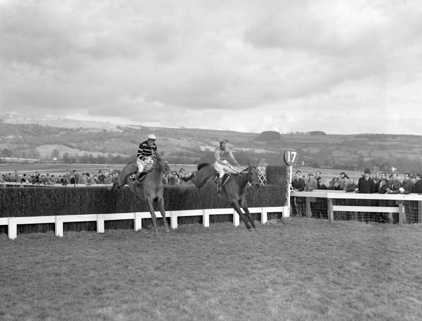 Famous horse L'Escargot, on the left, ridden by Tommy Carberry at the Cheltenham 1970 Gold Cup.
