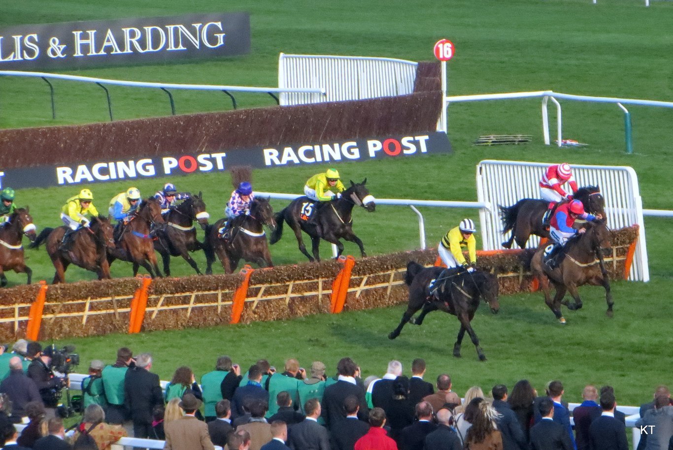 The Mares' Hurdle in 2014